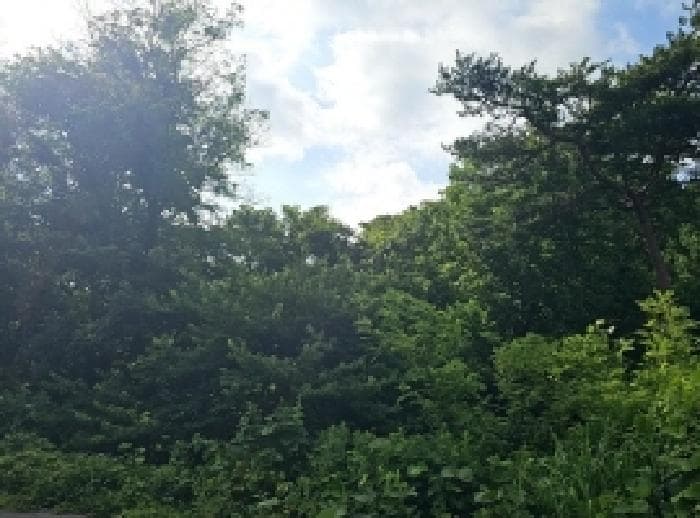 전라남도 해남군 마산면 화내리 산89