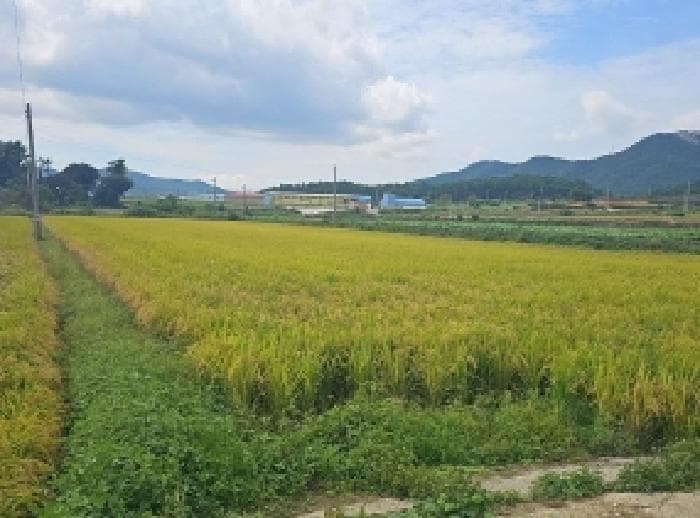 전라남도 해남군 북평면 오산리 1134-6