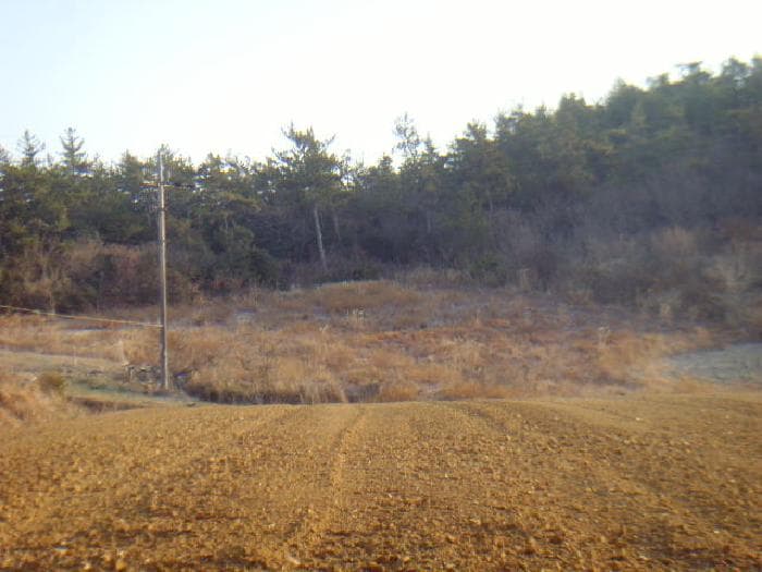 전라남도 해남군 황산면 부곡리 364-39