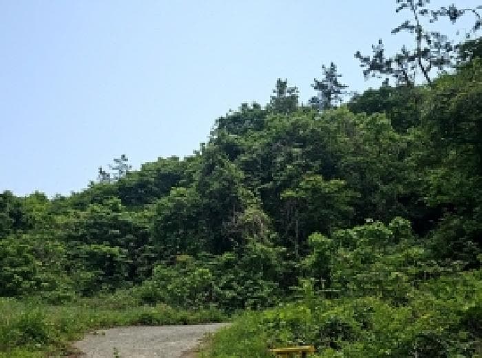 전라남도 진도군 진도읍 포산리 1755-11 외 1 필지