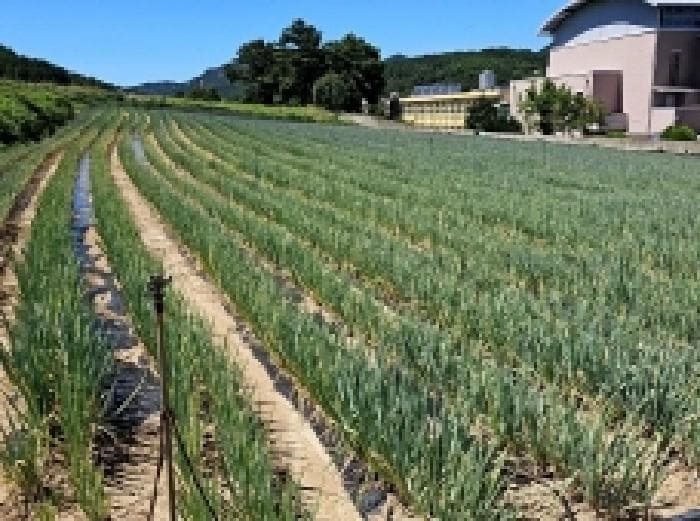 전라남도 진도군 지산면 인지리 287-1