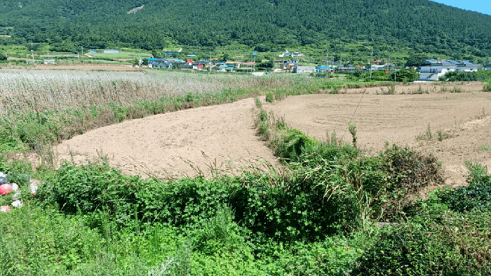 전라남도 완도군 청산면 상동리 836 외 1 필지
