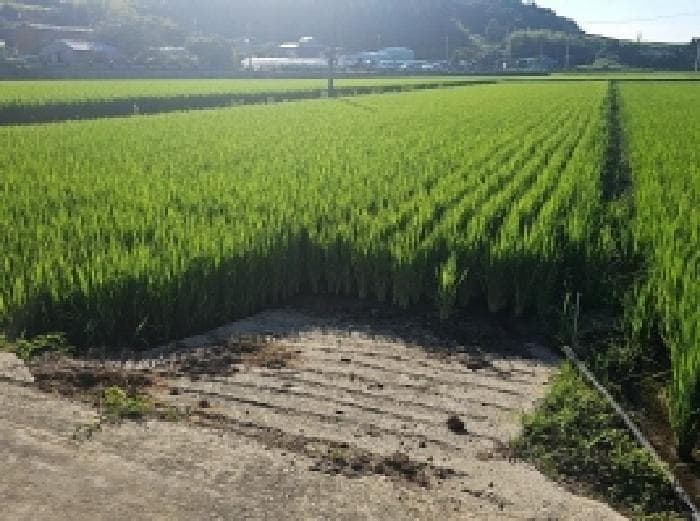 전라남도 해남군 화산면 석호리 596-9