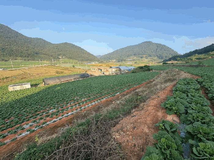전라남도 해남군 화원면 청용리 140-1