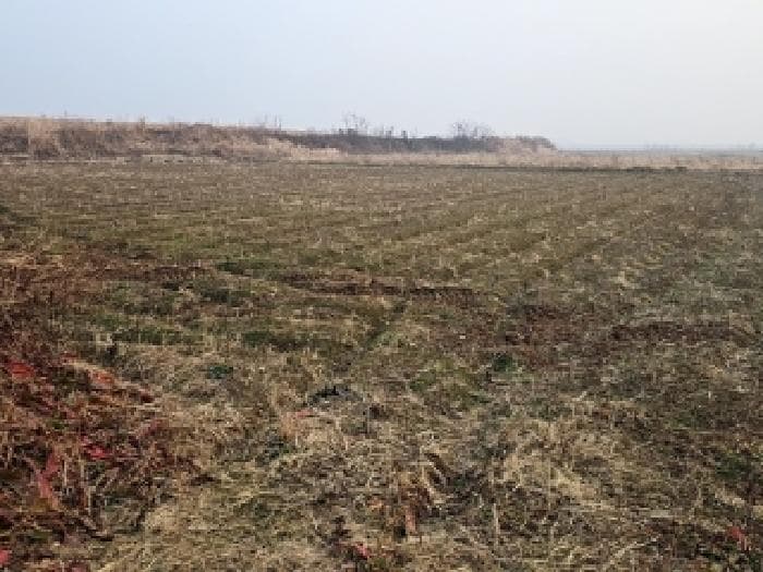 전라남도 해남군 산이면 예정리 19