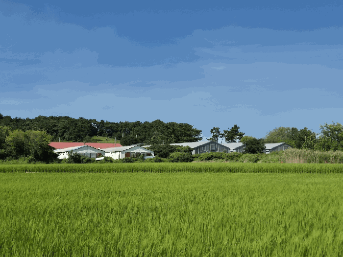 전북특별자치도 부안군 동진면 증산리 79