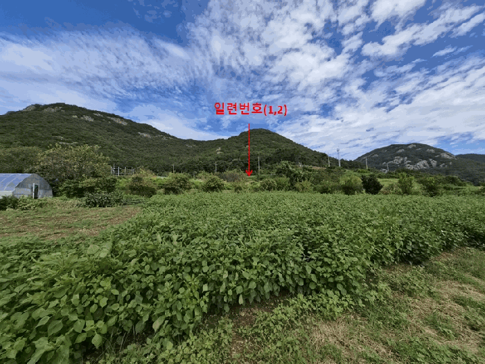 전북특별자치도 부안군 변산면 도청리 97