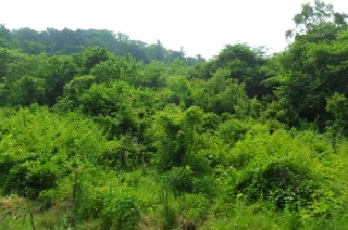 전북특별자치도 정읍시 산외면 종산리 369