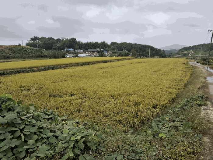 전북특별자치도 고창군 상하면 송곡리 1220
