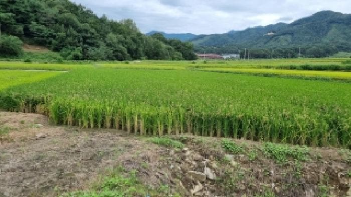 전북특별자치도 장수군 산서면 오성리 1292