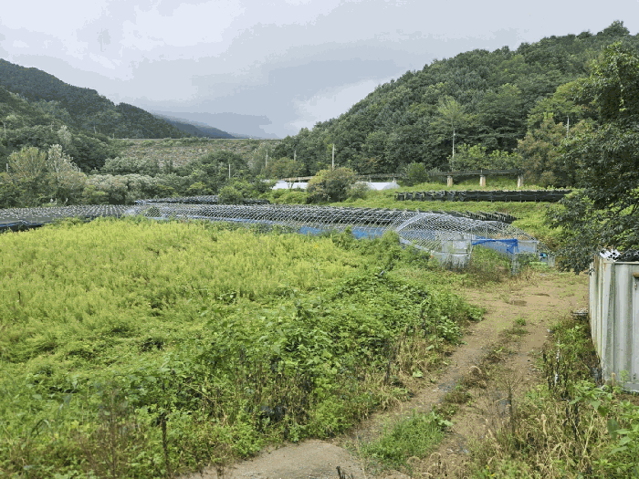 전북특별자치도 장수군 계북면 원촌리 1509