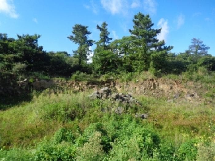 제주특별자치도 제주시 한경면 고산리 725-1 외 10 필지