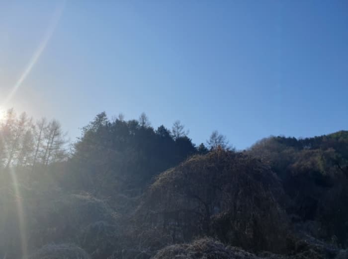 경기도 가평군 가평읍 개곡리 산206