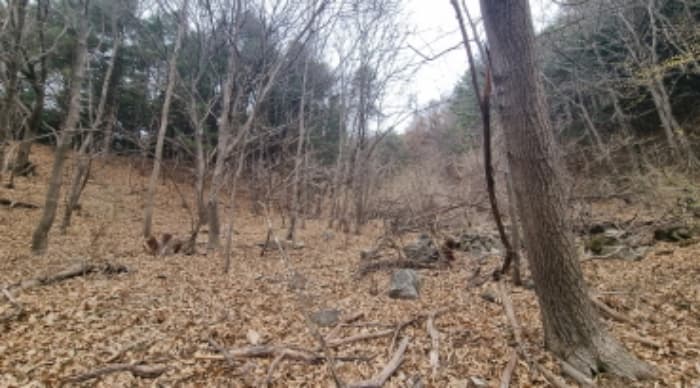 경기도 가평군 북면 백둔리 446-1 외 1 필지