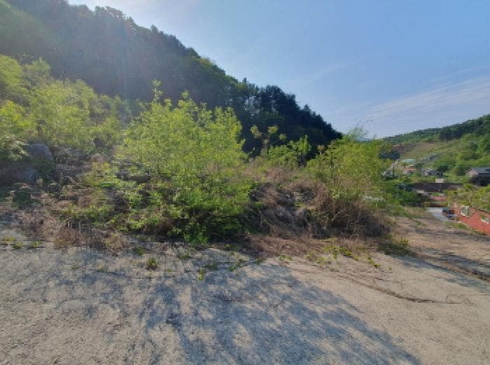 경기도 가평군 청평면 하천리 405-1 외 4 필지