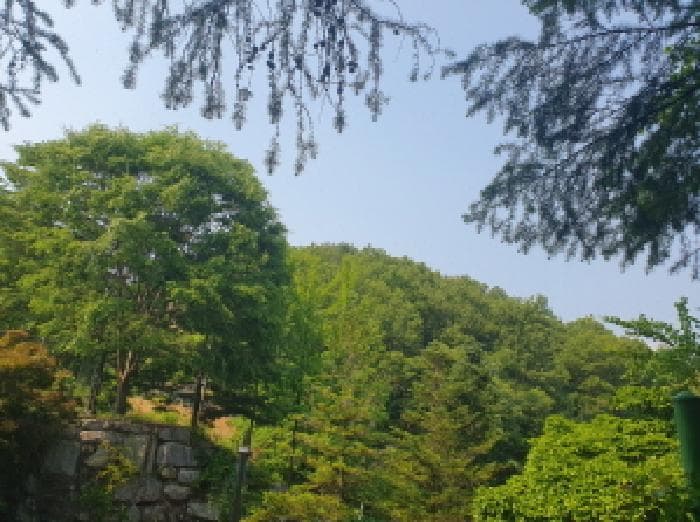 경기도 가평군 청평면 고성리 산87