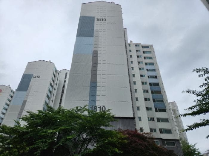 경기도 남양주시 진접읍 금곡리 1107 부영사랑으로 1810동 5층501호